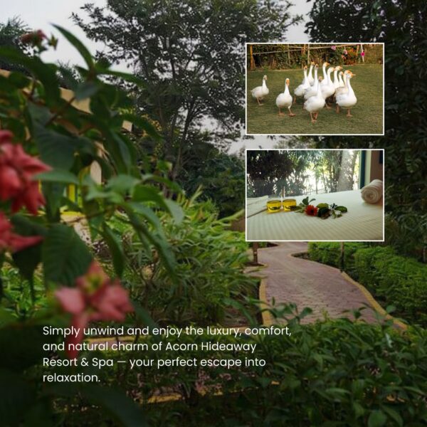 Luxury-stay-experience-at-Acorn-Hideaway-Resort-Spa-Jim-Corbett-surrounded-by-nature-and-comfort